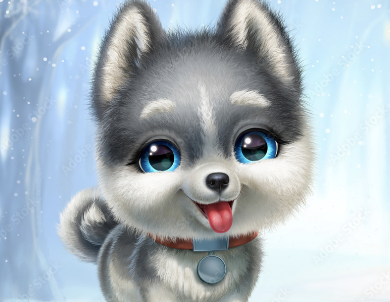 8 jähriger Siberian Husky
